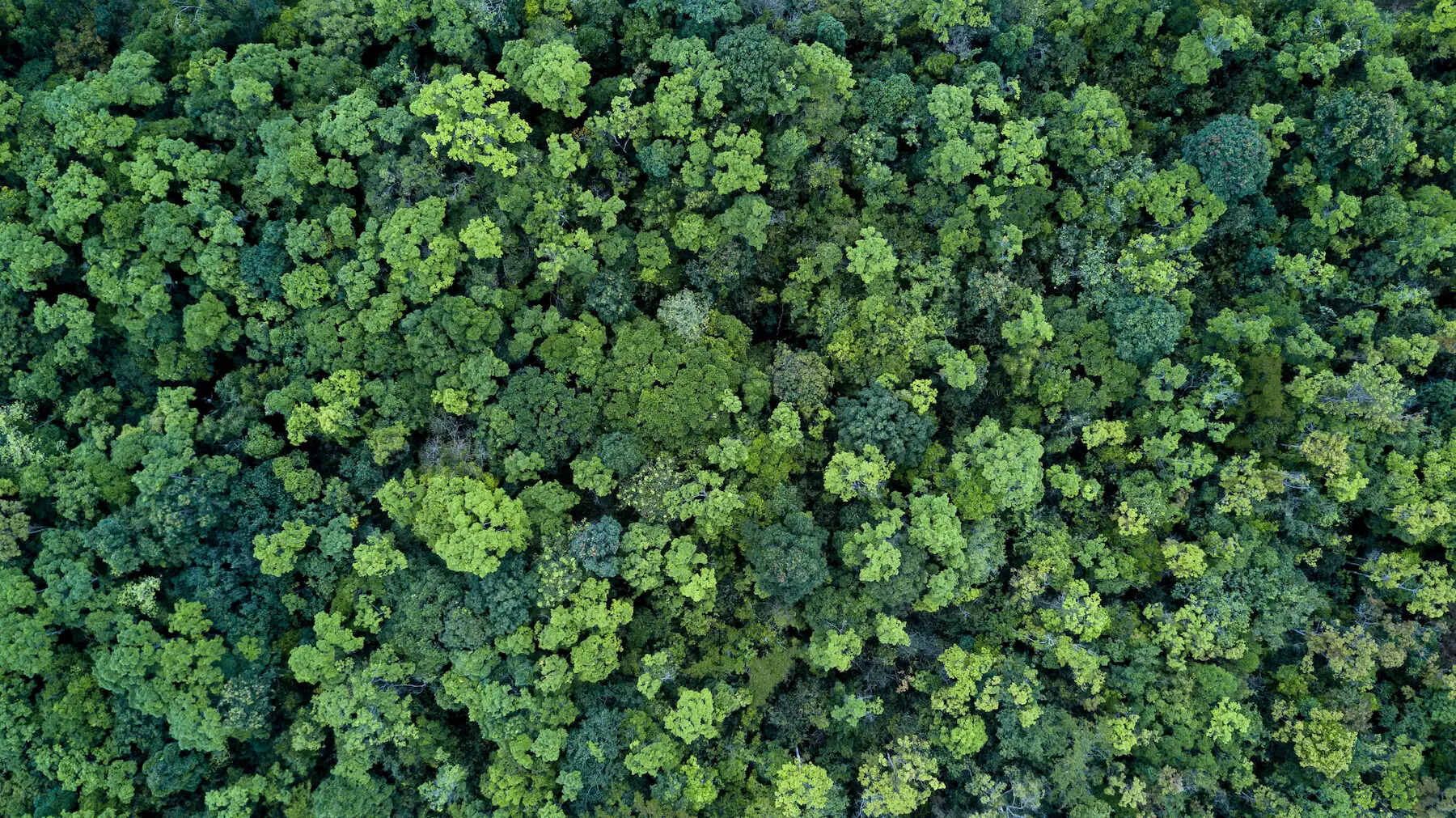 Our Planet