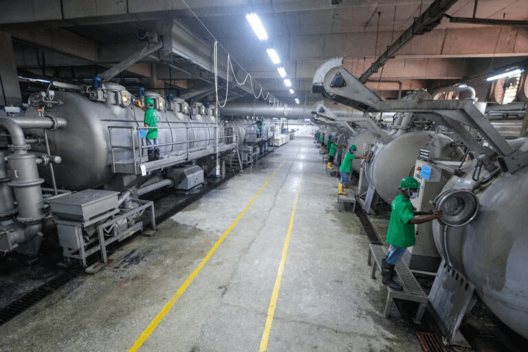 Company-Overview